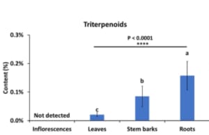 Triterpenoid | bagian tanaman ganja - senyawa metabolit